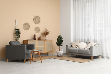 Cozy sofa, armchair and chest of drawers in living room