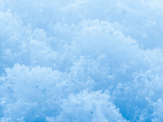 降り積もったばかりの新雪15