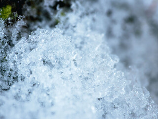苔の上で雪が溶けて凍りつくアップ02
