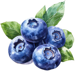 Obraz premium Beautiful Illustration of Fresh Blueberries with Green Leaves, Isolated on a White Background.