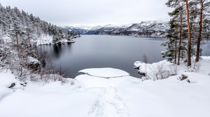 Snowy lake winter landscape, tranquil scene, Norway