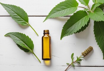Homemade Herbal Essence: Nettle Oil and Fresh Urtica Dioica Leaves on a Rustic White Table