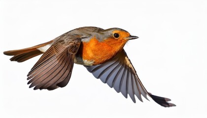 Stunning Flight of a Vibrant Red Robin Bird Amidst Wintery Landscape at Dusk, Capturing the Essence of Wildlife in a Serene Moment.