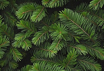 Closeup of Green Fir Branches: A Natural Winter Forest Background Texture