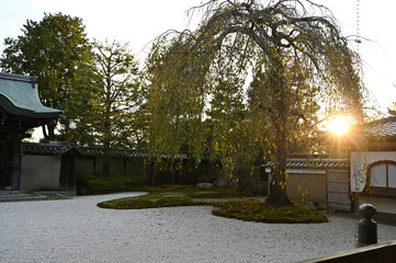 京都の風景
