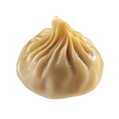 A digital illustration of a single soup dumpling (xiao long bao), with a soft, doughy texture and a pinched top forming delicate pleats, transparent background, PNG