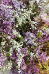Obraz premium Colorful display of wildflowers in a sunlit garden showcasing various shades and textures