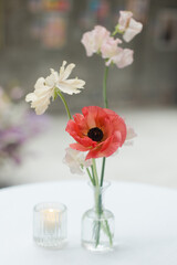 Beautiful arrangement of colorful flowers in a glass vase on a table in a cozy indoor setting