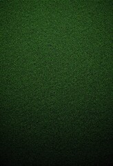 Fototapeta premium Dark green textured background with grainy pattern and vignette effect. Abstract minimalist surface for design, marketing materials and presentations. Professional backdrop with space