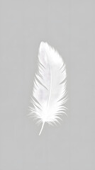 Floating Soft White Feather on Pale Gray Background Illustration