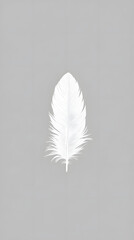 Elegant Feather Illustration in Soothing White and Gray Tones