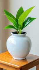 A white vase with a plant sits on a wooden table, adding a touch of greenery to the space.