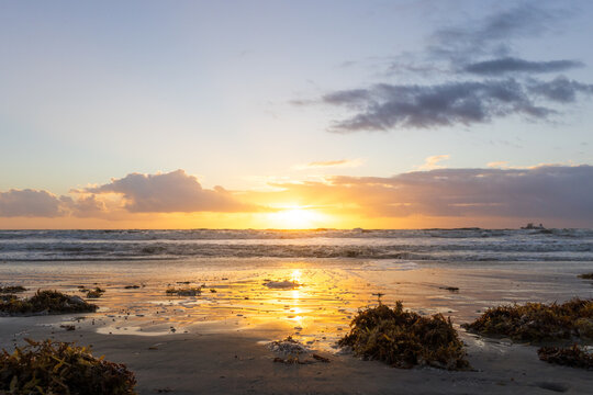 Sun rising over the Atlantic Ocean at Cocoa Beach, Florida with piles of sea grass on beach