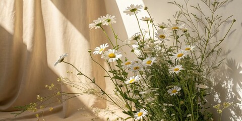 Sophisticated Chamomile and Daisy Floral Design with Dappled Sunlight on Beige Background, floral design, copy space, neutral tone, dappled sunlight