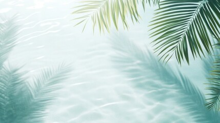 Palm Fronds Shadows on Aqua Background