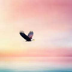 Obraz premium Majestic Eagle Soaring Against Colorful Sky