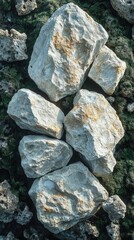 Grey and White Rocks on Green Moss Background
