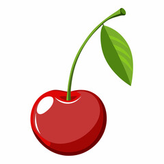 vector illustration of cherry