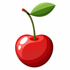 vector illustration of cherry