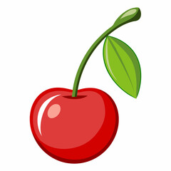 vector illustration of cherry