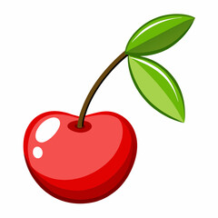 vector illustration of cherry