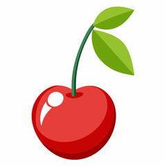 vector illustration of cherry