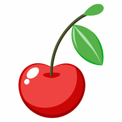 vector illustration of cherry