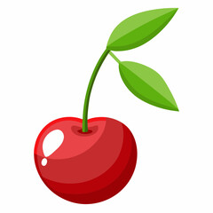 vector illustration of cherry