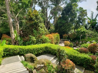 Obraz premium This photo captures a lush Japanese-style garden with vibrant greenery, trimmed hedges, colorful shrubs, and stone pathways leading to a serene bench. The tranquil setting is surrounded by tall trees.