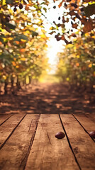 Wooden Table with Nuts Presents an Autumn Orchard Background Blurred Beautifully with Sunlight