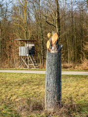 Hoch und Jägersitz