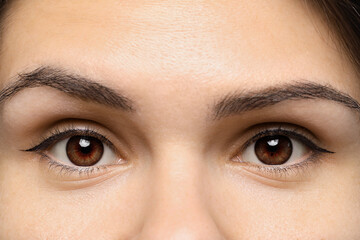 Naklejka premium Closeup view of woman with brown eyes