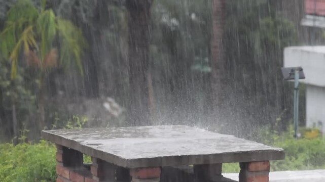 strong storm with rain and wind city trees, summer