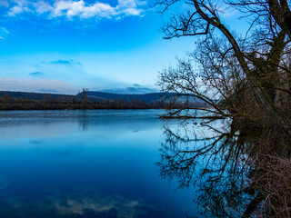 Bäume und Wurzeln am Ufer eines zugefrorenen Sees