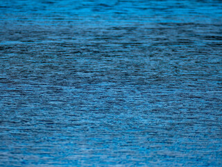 Formen aus Eis auf der Wasseroberfläche