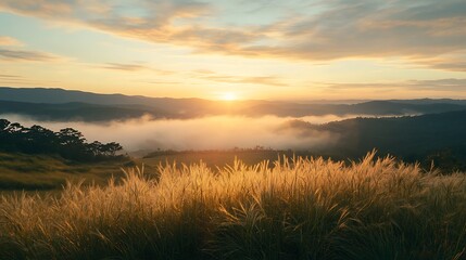 Golden Hour Sunrise Over Misty Mountains
