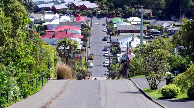 Baldwin Street, the World's Steepest Street in Dunedin on a Sunny Day