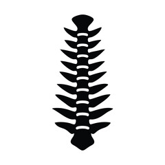 Spine Human Graphic Icon High Quality Medical and Anatomy Illustrations for Creative Projects