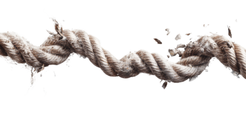 The Intricate Dance of a Severed Rope A Study in Texture, Strength, and Fragility