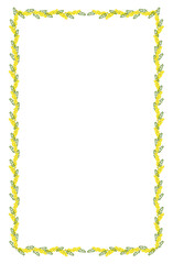 Mimosa flower frame.  women's day, international women's day, beginning of spring, illustration for greeting cards.Transparent.not AI.