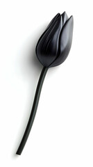 3D Rendered Black Tulip with Smooth Petals and Sleek Stem Gracefully Positioned on a White Backdrop