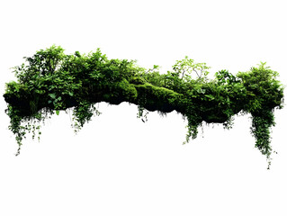 Fototapeta premium Floating Island with Lush Vegetation and Hanging Vines Isolated on White Background