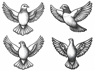 Obraz premium Four Doves with Spread Wings Soaring Gracefully Through the Air in a Detailed Illustration
