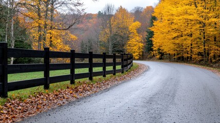 Naklejka premium Autumn road curves through colorful forest