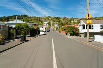 Baldwin Street, the World's Steepest Street in Dunedin on a Sunny Day
