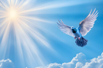 Obraz premium Dove soars gracefully through sunlit sky, embodying peace and freedom amid clouds.