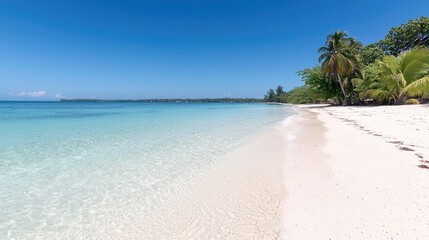 Fototapeta premium Tropical beach, clear water, palm trees, sunny day, travel