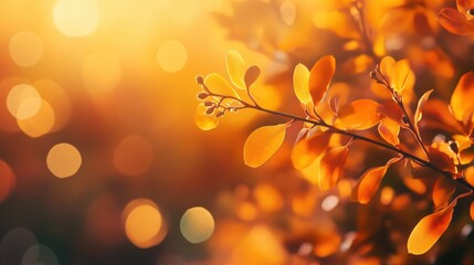 Obraz premium A close-up of autumn leaves glistening in warm sunlight, creating a soft, dreamy atmosphere with blurred bokeh in the background.