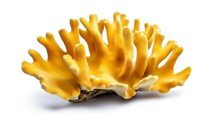 Bright Yellow Coral Display with Intricate Branching Patterns