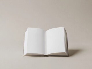 Blank Page Book Spread for Creative Writing Storytelling and Journaling Potential Template Idea